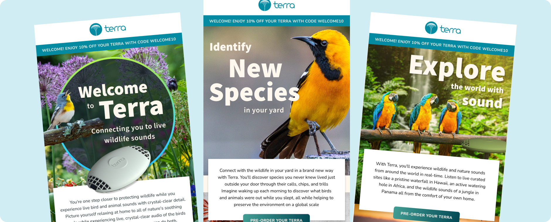 Terra HTML Emails